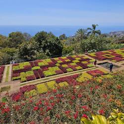 Jardim Botânico da Madeira