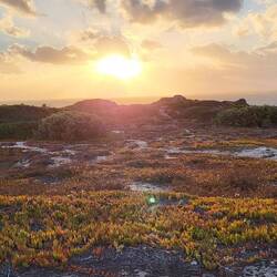 Wilde sardinische Landschaft.