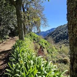 Levada dos Balcões