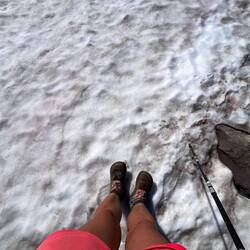 Ab durch den Schnee im August