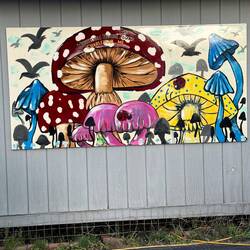 I'm pretty intrigued by the 🍄 🍄‍🟫 houses. Found a map