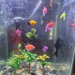 Sophie, you would love these