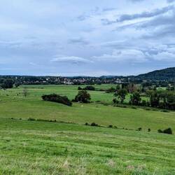 Pastures everywhere