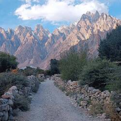 Passu Cones