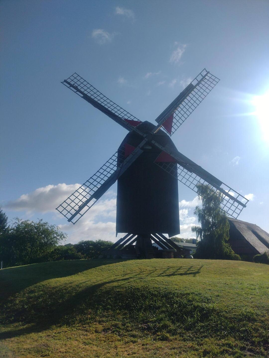 Blockwindmühle Eldena