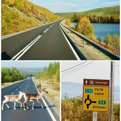 Wieder on the road