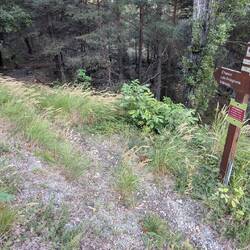 This is a footpath, not a road