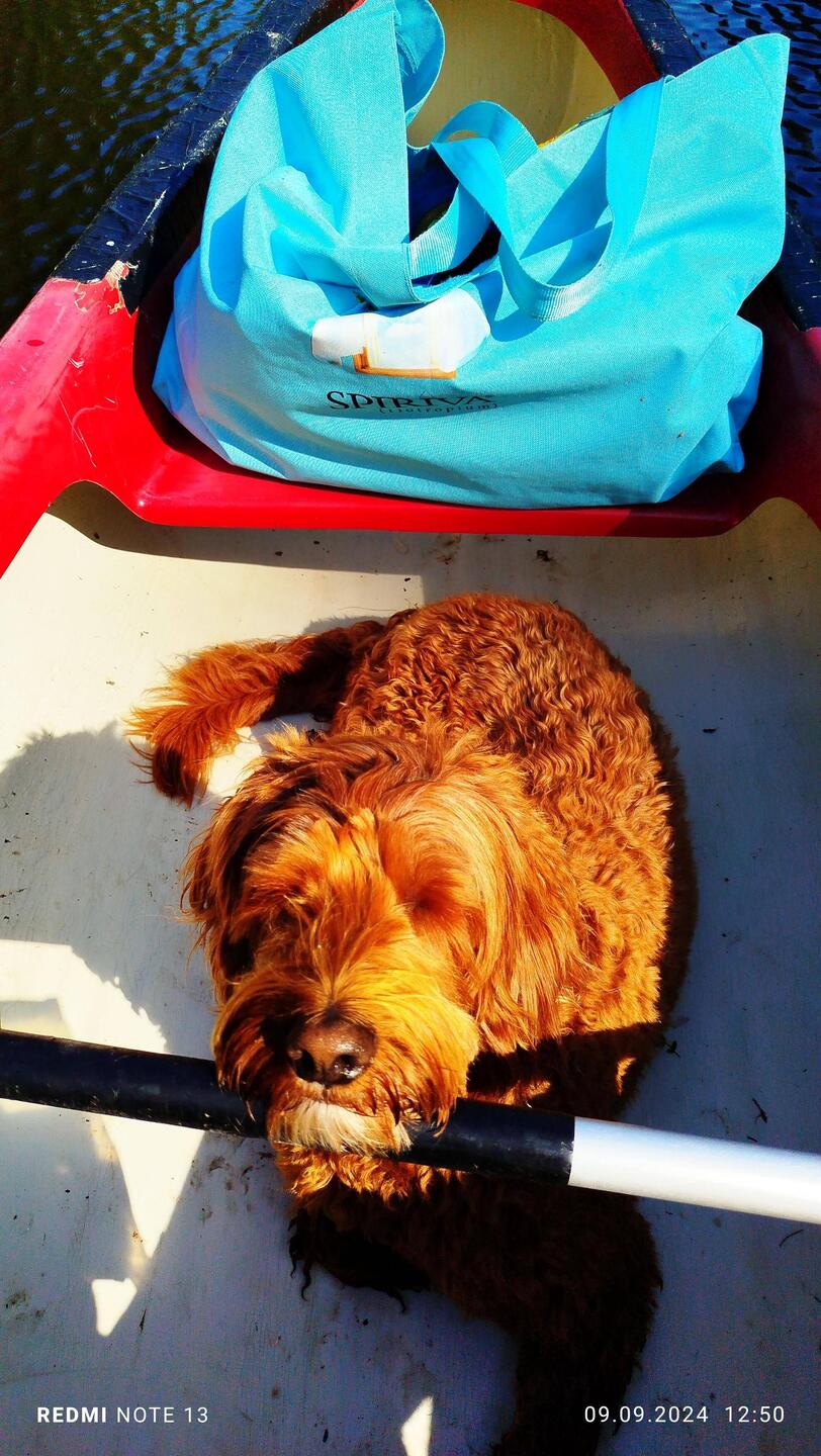 Hat er gut gemacht. Wie immer. Hingelegt und gechillt🤗