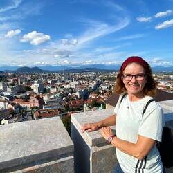 Aussicht über Ljubljana