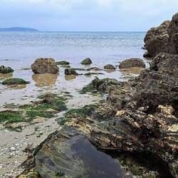 Swanpool Beach