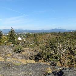 View from the hilltop park