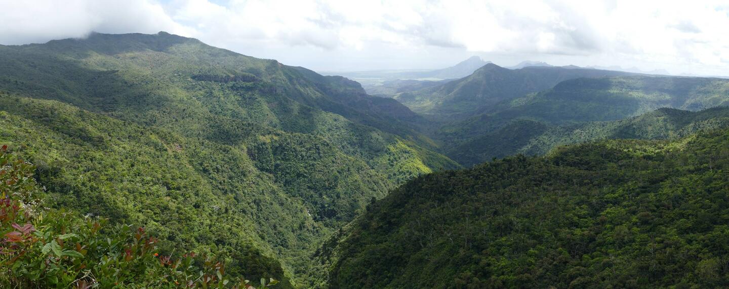 Black River Gorges Nationalpark