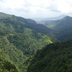 Black River Gorges Nationalpark