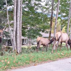 Wir glauben schon...