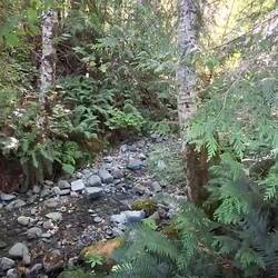 Und ein kleiner Bach, der in den See fließt