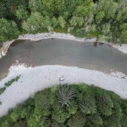 Sieht fast aus wie im Dschungel