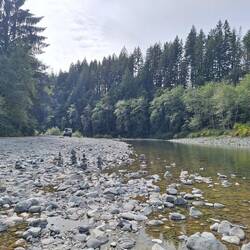Nächster Pausenstop, einfach mal im Wald abgebogen (Parker Creek)