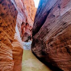 An diesem Wasserloch war Schluss, sonst hätten wir wieder nasse Schuhe gehabt.