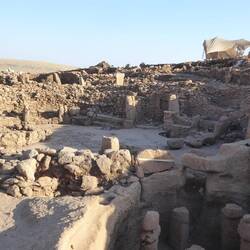 View over the site