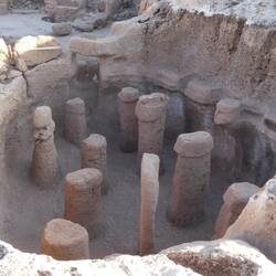 Phallus columns