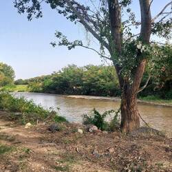 Neuer Platz am schmutzigen Fluss🙃