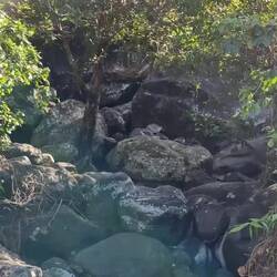 Lol, I'm far to slow on the camera, we saw about 20 I'm total, some are so small and cute