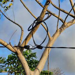 Power connection, crazy