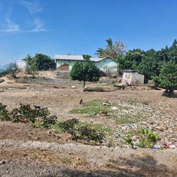 Oh and some more rubbish