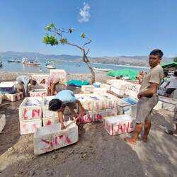 Found another little fish market, they wanted photos with us weirdos 😜