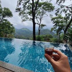 Begrüßungsgetränk