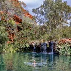 Fern Pool