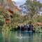 Fern Pool