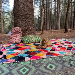 Affenwald auf dem Weg 🐒