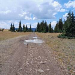 Wieder aufgeweichte Piste, streng und halb so schnell wie geplant