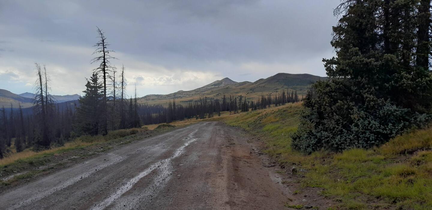 Nach dem Regen am Indiana Pass >3500m: Beine leer, Piste weich. Ross, ein GD'ler motiviert mich ..
