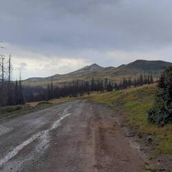 Nach dem Regen am Indiana Pass >3500m: Beine leer, Piste weich. Ross, ein GD'ler motiviert mich ..