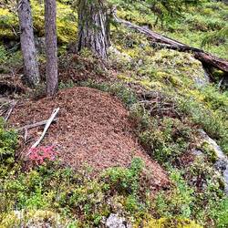 🐜🐜🐜🐜🐜🐜🐜🐜🐜