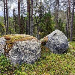 Troll auf dem Bauch liegend🤣