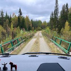 Mitten durch den Urwald