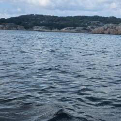 Immer wieder etwas anders