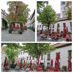 Der Biergarten Bischofshof, einer der schönsten