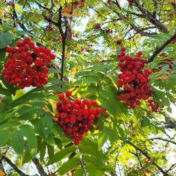 Buchstabe 2 Kästchen 3