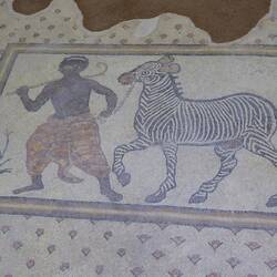 Black boy with zebra