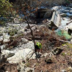 Couldn't resist climbing down to the river