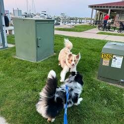 Moki and his BF Ash