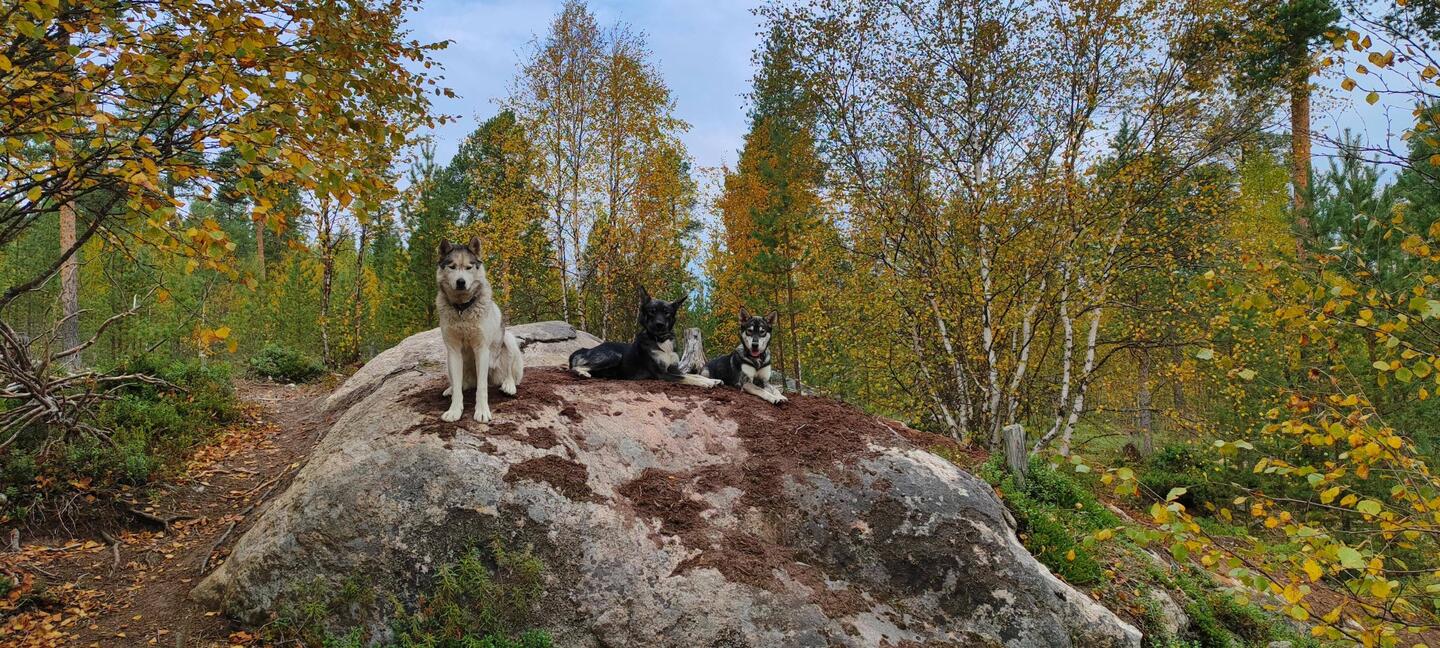 Nimea, Karas und Kaya
