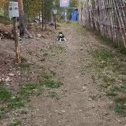 Matku am spielen😂