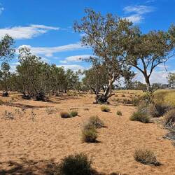 Dry river bed
