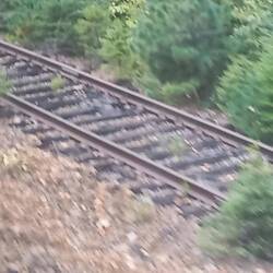 Die Natur erobert das Abstellgleis zurück