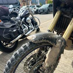 ✨ vs. 🐽 der Harley-Fahrer meinte wir fahren wohl nicht die selbe Route 😅😂